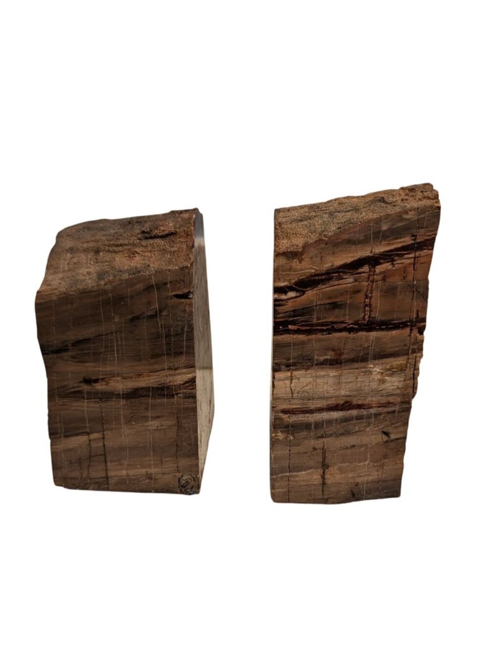 Petrified Wood Bookends Fossilized Tree Rings Natural Mineral Patterns 6" Rustic - Picture 5 of 16